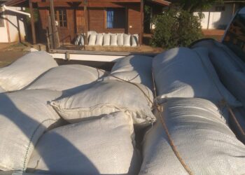 Intervención de yerba sin estampilla  