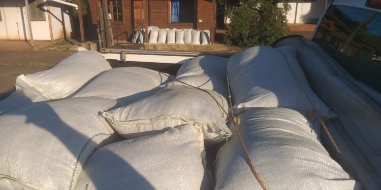 Intervención de yerba sin estampilla  