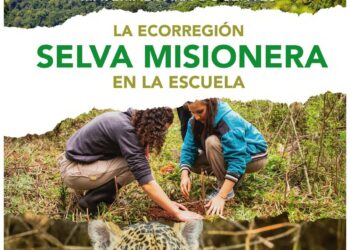 Educación Ambiental: lanzamiento del cuadernillo sobre la selva misionera