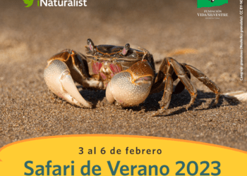 Llega el primer Safari de Verano 2023, para aprender sobre la vida silvestre de Argentina