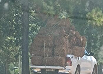 APTM advierte colapso del sector tabacalero de Misiones