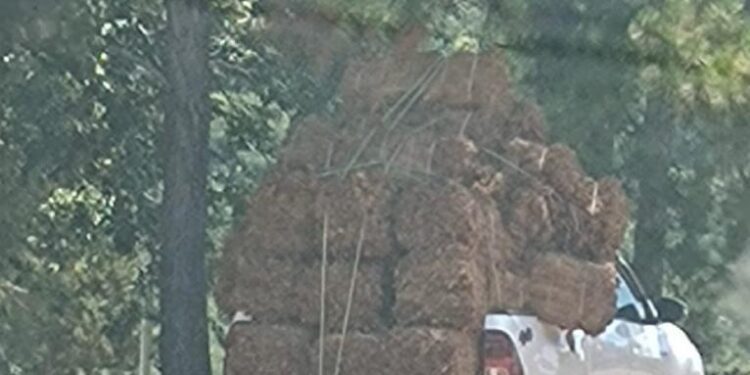 APTM advierte colapso del sector tabacalero de Misiones