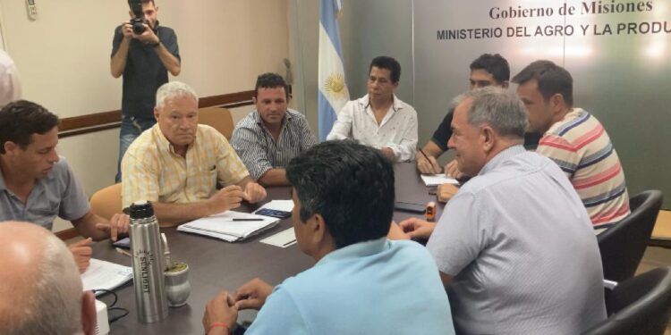 Precio del burley: Las cooperativas se hicieron cargo