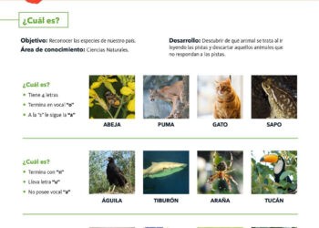 Ciclo lectivo 2023: materiales de educación ambiental gratuitos 