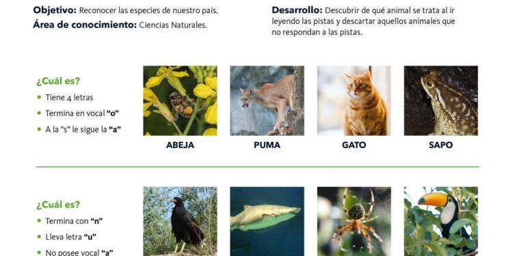 Ciclo lectivo 2023: materiales de educación ambiental gratuitos 