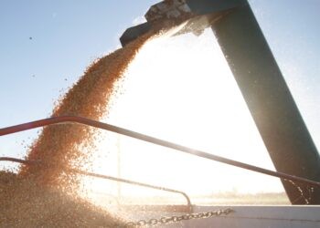 Las exportaciones agropecuarias crecieron 8,5% en 2022