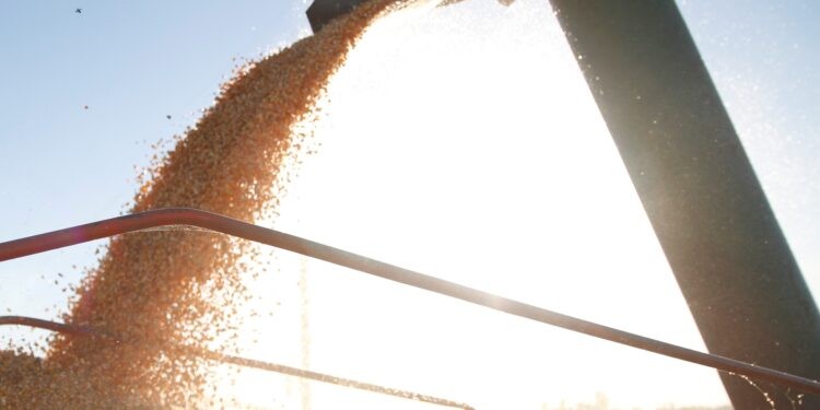 Las exportaciones agropecuarias crecieron 8,5% en 2022