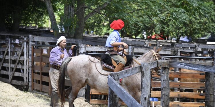 Con más de 1.200 cabezas en pista se realizó un nuevo remate ganadero