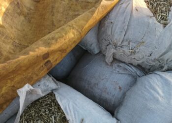 El INYM intervino más de 7.000 kilos de palitos en un procedimiento en Comandante Andresito