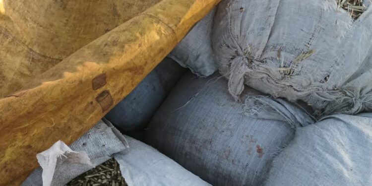 El INYM intervino más de 7.000 kilos de palitos en un procedimiento en Comandante Andresito