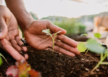 Foro de Políticas Agropecuarias para dialogar sobre el rol del Estado con candidatos a gobernador