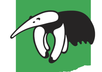 Día Mundial de la Vida Silvestre: especies argentinas en peligro 