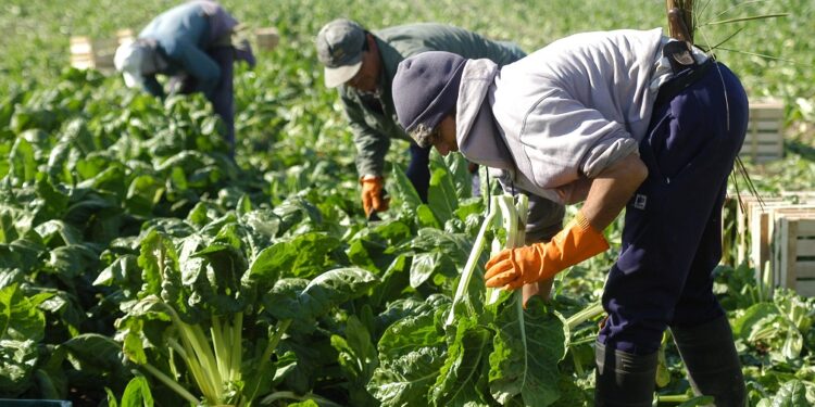 RENATRE inscribirá de oficio a trabajadores y empleadores rurales que estén registrados en AFIP