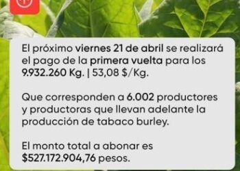Mañana pagan 527 millones a tabacaleros de Misiones