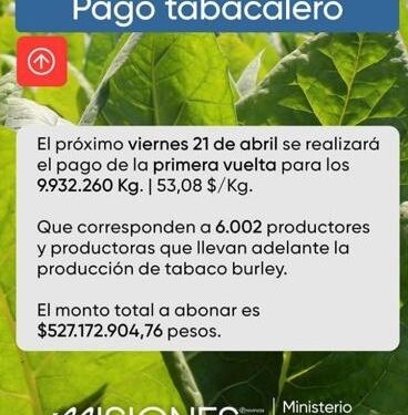 Mañana pagan 527 millones a tabacaleros de Misiones