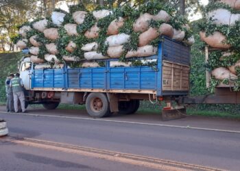 El INYM clausura un acopio y un secadero