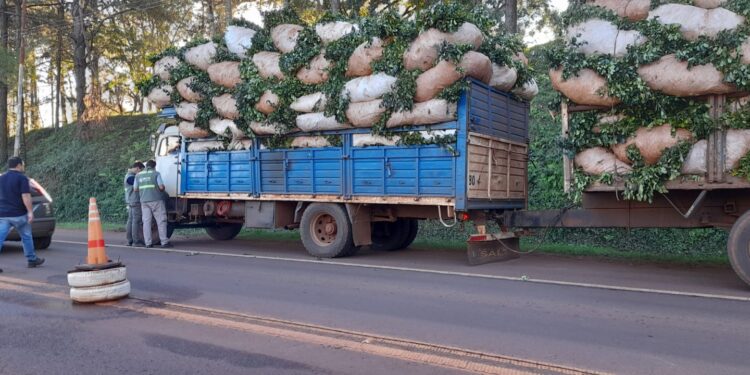 El INYM clausura un acopio y un secadero