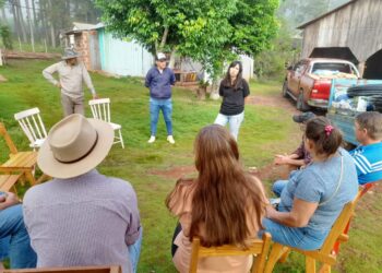 Banana misionera a escala comercial