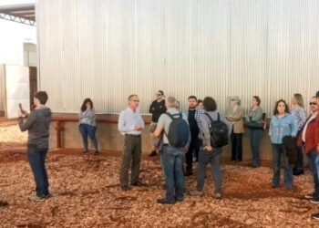 La foresto industria misionera y su fortalecimiento