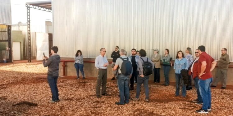 La foresto industria misionera y su fortalecimiento