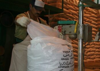 La yerba mate quedó incorporada al “dólar agro”