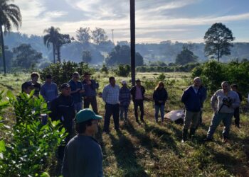 Capacitación para trabajadores rurales en manejo de yerba mate