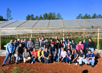 Promueven la innovación mediante formación y capacitación a jóvenes