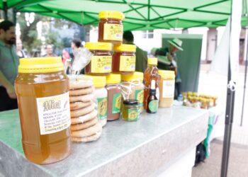 Argentina de los principales exportadores de miel