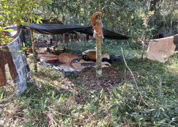 EL RENATRE detectó indicios de explotación laboral, trabajo infantil y adolescente no protegido en Misiones