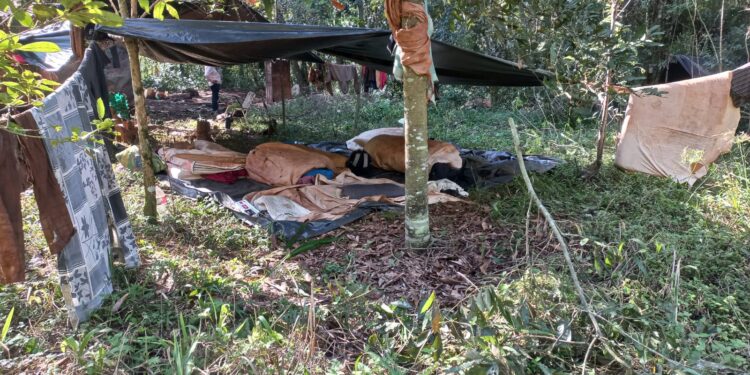 EL RENATRE detectó indicios de explotación laboral, trabajo infantil y adolescente no protegido en Misiones