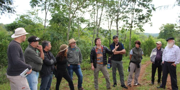 Técnicos del INYM se capacitaron en producción de yerba mate bajo prácticas agroecológicas