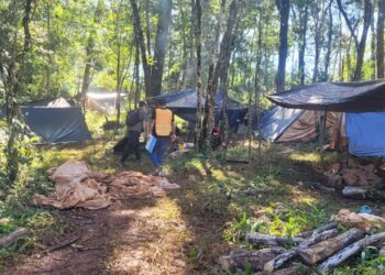 Detectaron indicios de explotación laboral y trabajo infantil en Misiones