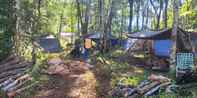 Detectaron indicios de explotación laboral y trabajo infantil en Misiones