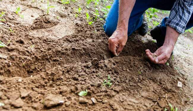 MISIONES y el  día Mundial de la Conservación del Suelo