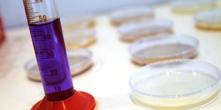 PROBIAAR: Se presentaron 189 proyectos para promover la producción y el uso sustentable de insumos biológicos nacionales