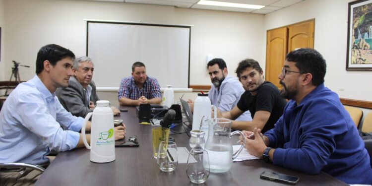 Jornada sobre hormigas: evitar o controlarlas