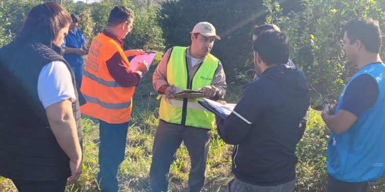 Fiscalizaciones conjuntas MTEYSS – RENATRE en la cosecha de yerba mate en la provincia de Misiones