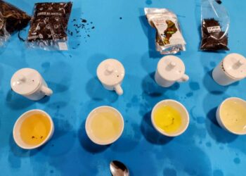 Indicación geográfica del té argentino