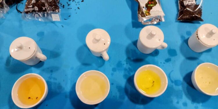 Indicación geográfica del té argentino