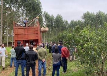 Compartir para mejorar. Productores de toda la región yerbatera asistieron a la jornada técnica organizada por el INYM