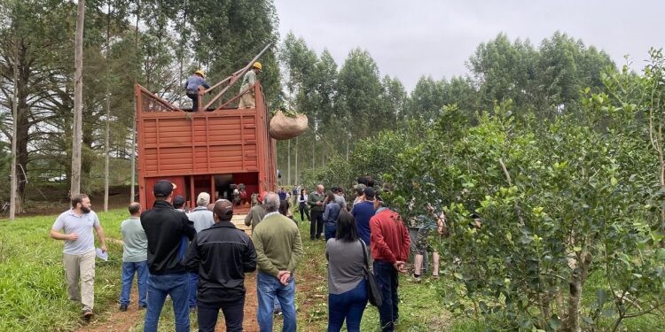 Compartir para mejorar. Productores de toda la región yerbatera asistieron a la jornada técnica organizada por el INYM