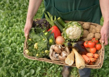 Vida Silvestre alerta sobre la necesidad de transformar los sistemas alimentarios 