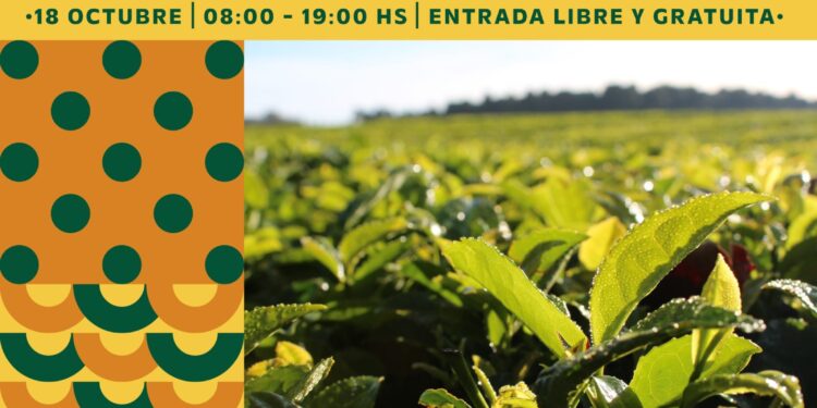 Misiones será sede de la Primera Cumbre de Agricultura Sostenible del Mercosur