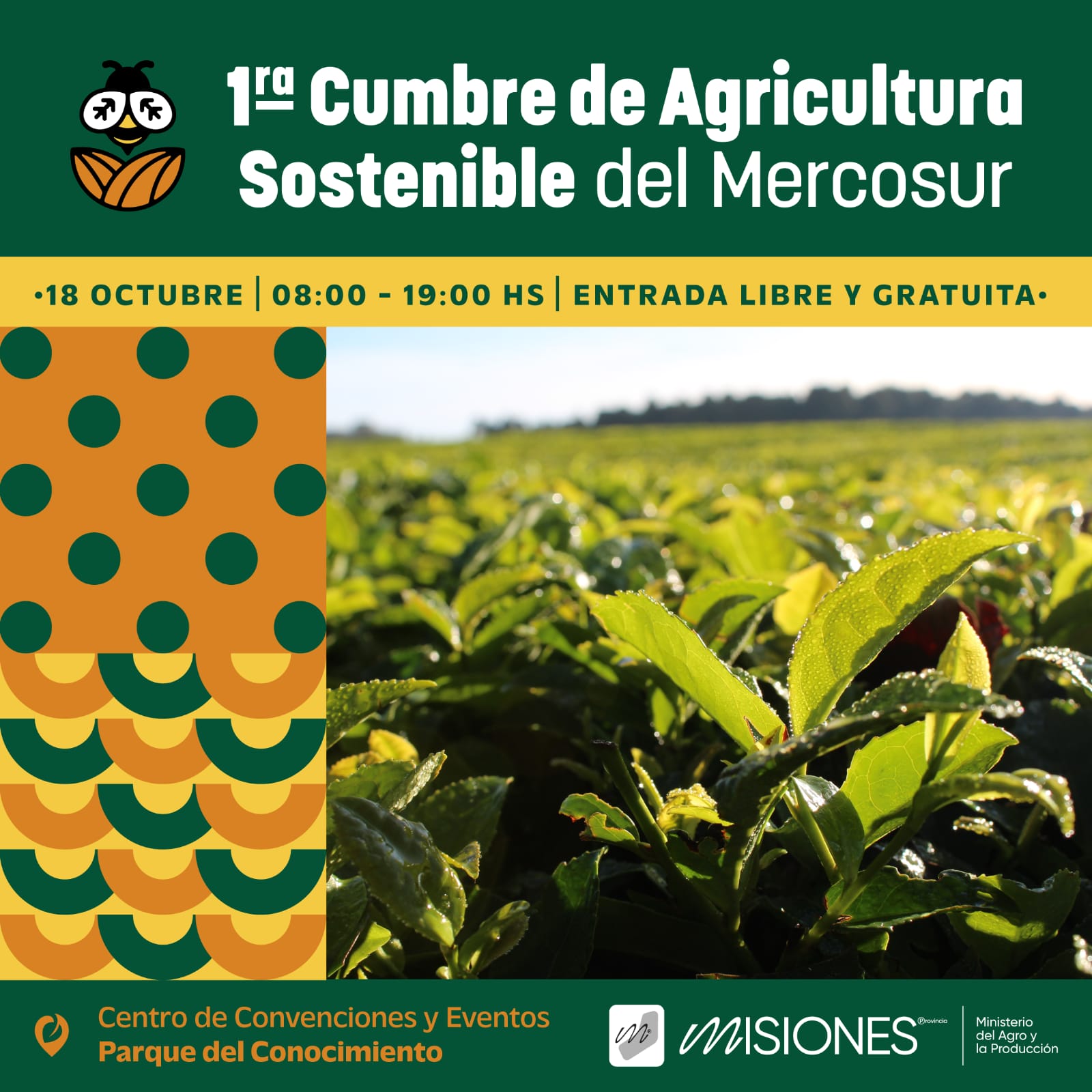 Misiones será sede de la Primera Cumbre de Agricultura Sostenible del Mercosur – Más Producción