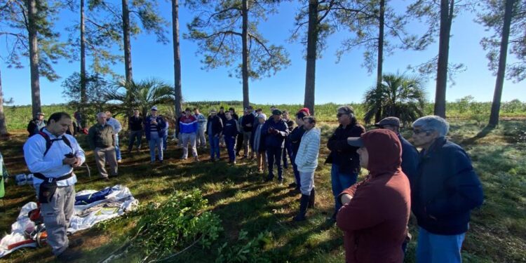 De yerba mate convencional a orgánica