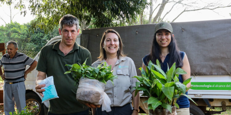 Se consolidan nuevas cuencas productoras de frutas