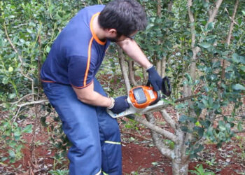 Se habilitó el Programa de Motoguadañas y Motosierras