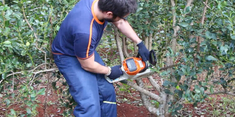 Se habilitó el Programa de Motoguadañas y Motosierras