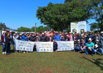 RENATRE colaboró con la mejora de una escuela rural en Misiones