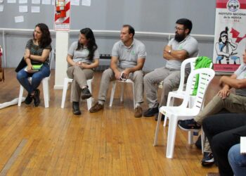 El Gobierno de Misiones y el desafío de  fortalecer las economías regionales